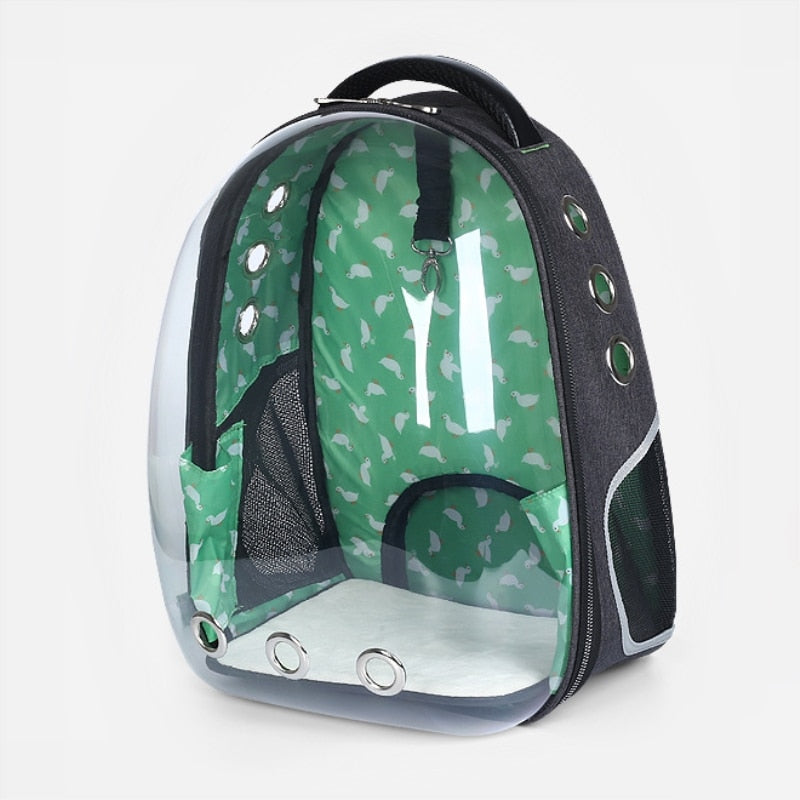 Transparent Breathable Backpacks
